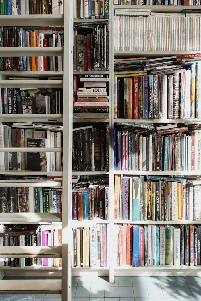 A bookshelf packed with a variety of colorful books illuminated by sunlight, indoor library setting.
